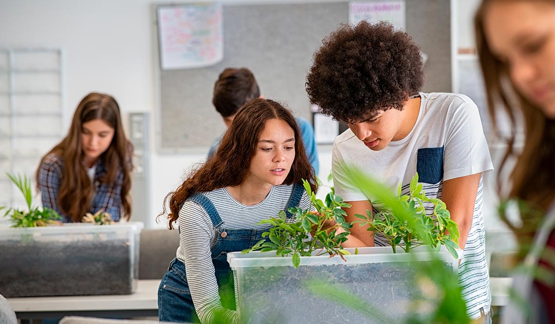 ¿Qué Es Neuroeducación Y Cómo Aplicarla En El Aula?